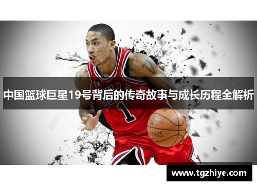 中国篮球巨星19号背后的传奇故事与成长历程全解析